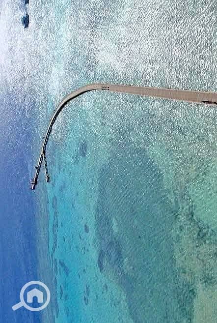 10 581675606_2373202763102151_2794469964877810654_n. jpg