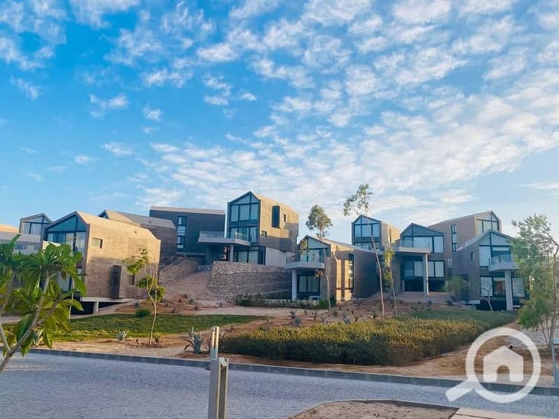 11 587029799_693368030205812_6807496192187865639_n. jpg