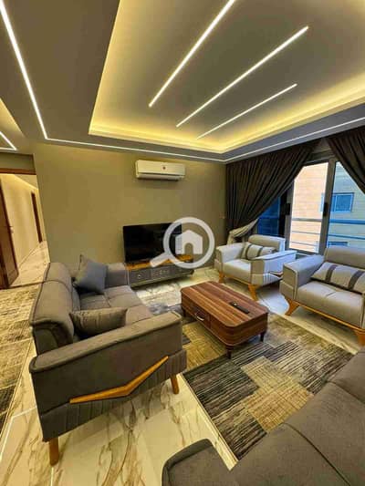 شقة فندقية 3 غرف نوم للايجار في المنيل، القاهرة - 1000078119. jpg