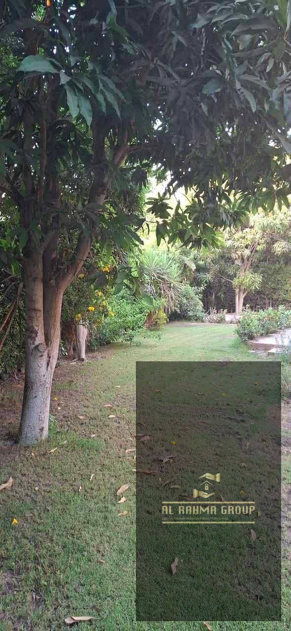 4 صورة واتساب بتاريخ 1447-06-15 في 22.26. 45_dd5a4d08. jpg