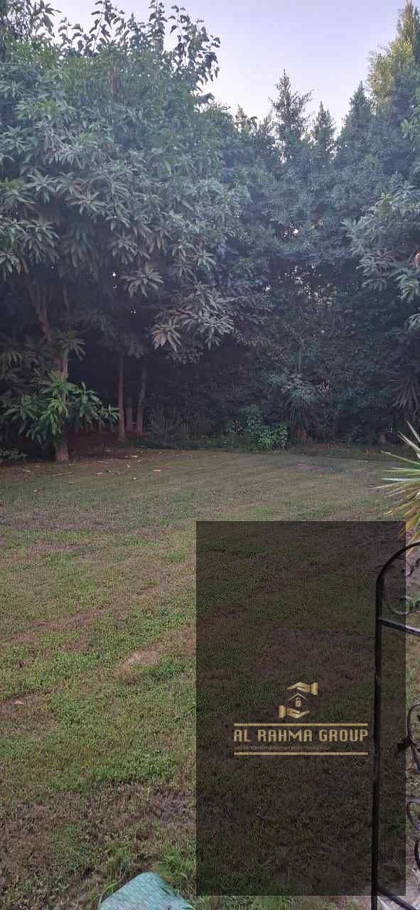 5 صورة واتساب بتاريخ 1447-06-15 في 22.26. 46_0c3dd14c. jpg