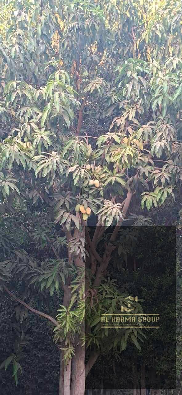 7 صورة واتساب بتاريخ 1447-06-15 في 22.26. 46_3582c2fd. jpg