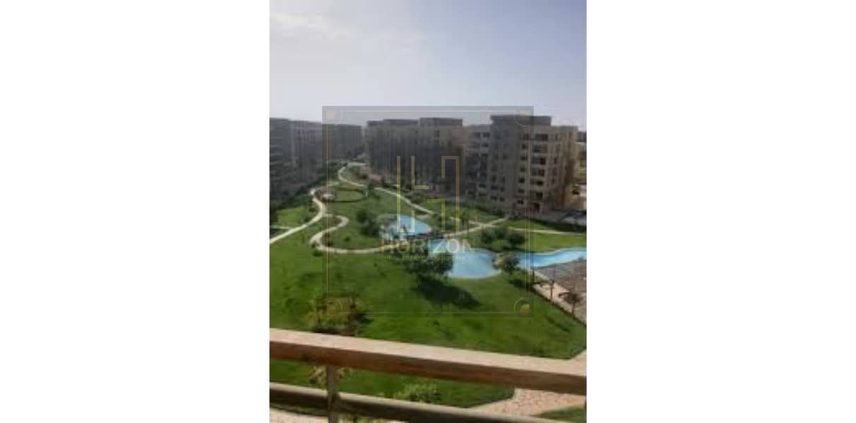 3 images (8). jfif. jpg