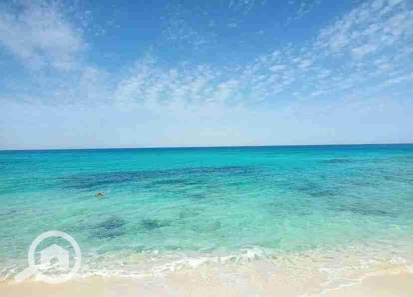 5 IMG-20240211-WA0150(2). jpg