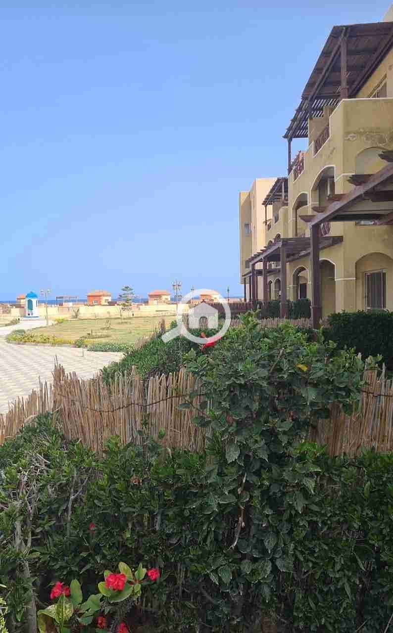 10 IMG-20240304-WA0406. jpg