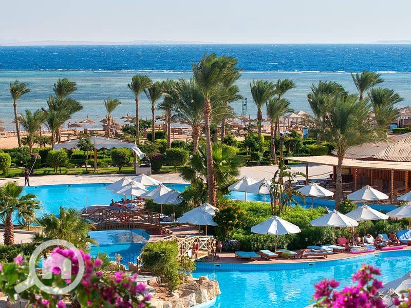 12 Untitled design - 2023-07-17T134144.178. png