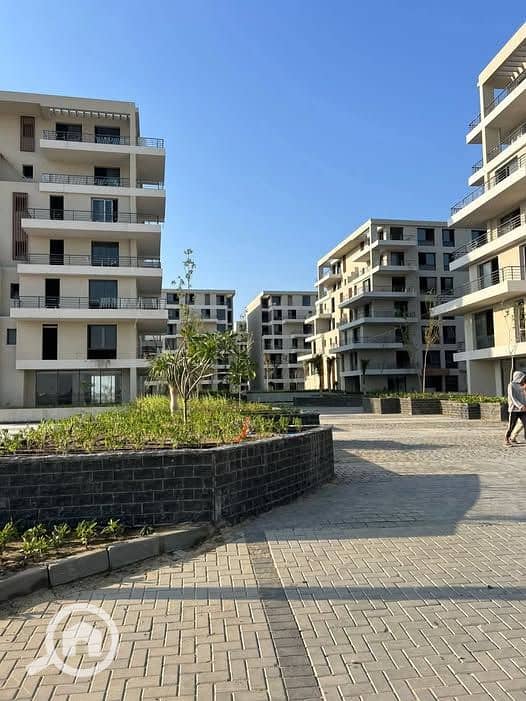 10 547265154_122112501470988780_3793340076458894139_n. jpg