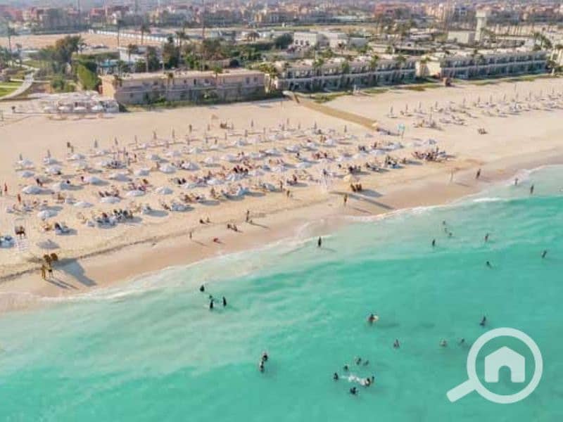 6 Untitled design (23) - Copy. png