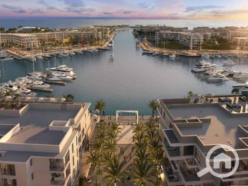 9 Untitled design (28) - Copy. png