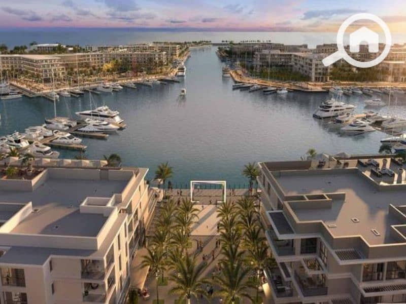 3 Untitled design (28) - Copy - Copy. png