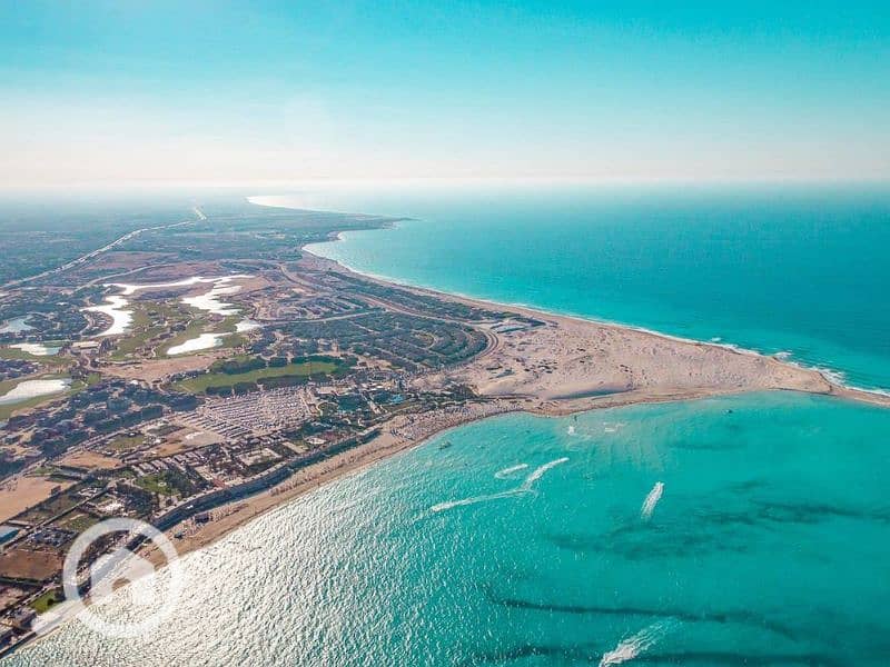 10 Untitled design (20) - Copy - Copy. png