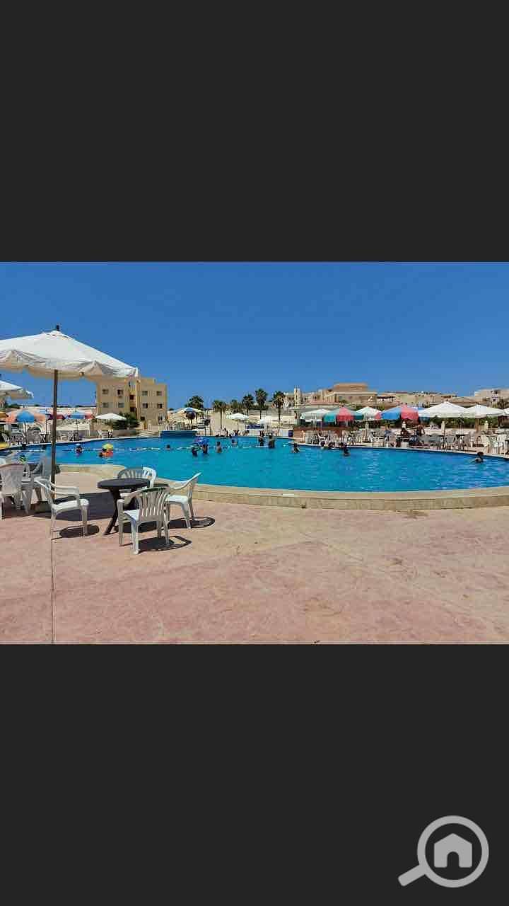 12 ce50bd0a-1b8f-4f37-9326-a7deff13e9c5. jpg