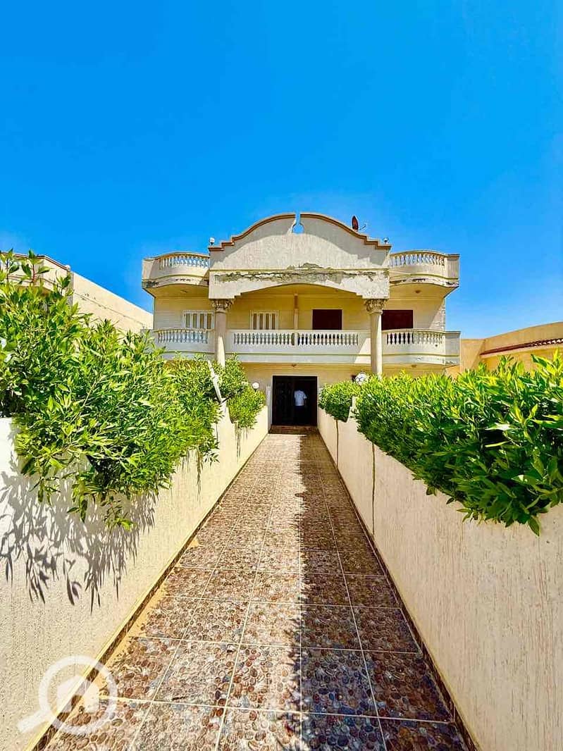 46bd9782-d66a-4da7-847a-1564b6c474c8. jpg 46bd9782-d66a-4da7-847a-1564b6c474c8. jpg