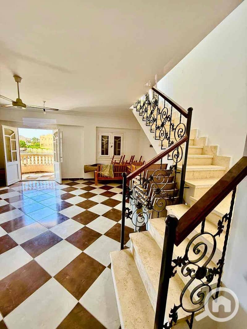 4 52f52ea0-faeb-441f-a7a2-e944c93dc0ed. jpg