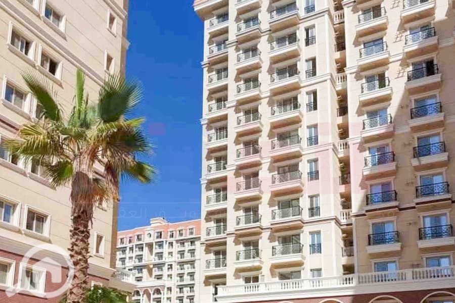 4 WhatsApp Image 2025-11-18 at 15.48. 42 (2). jpg