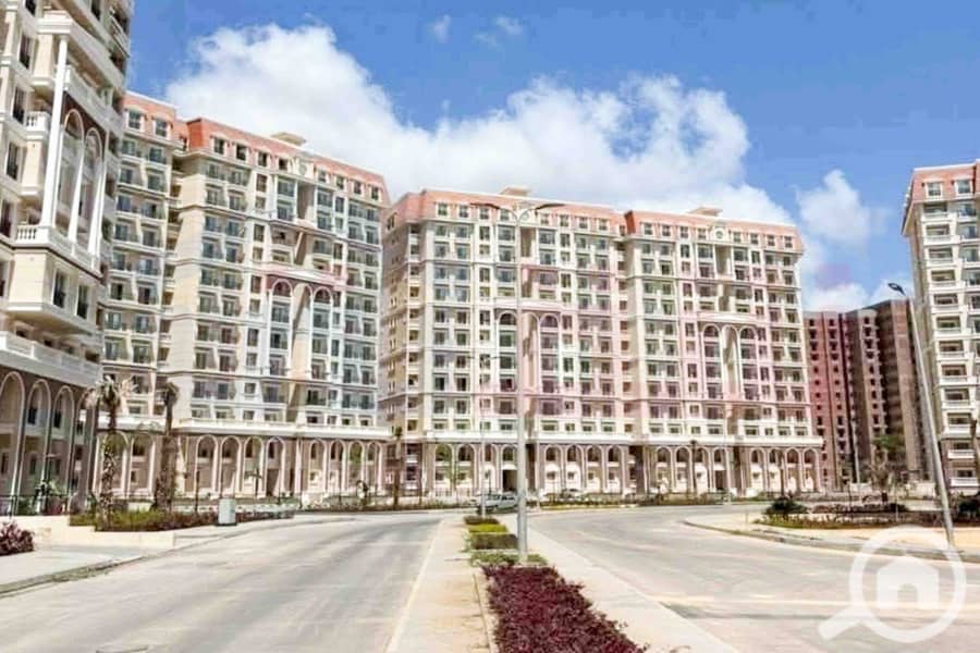 15 WhatsApp Image 2025-11-18 at 15.48. 45 (1). jpg