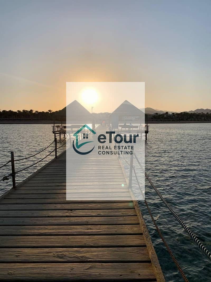 4 2f184a98-6ec6-429c-bf4d-5daba179c3ea. jpg