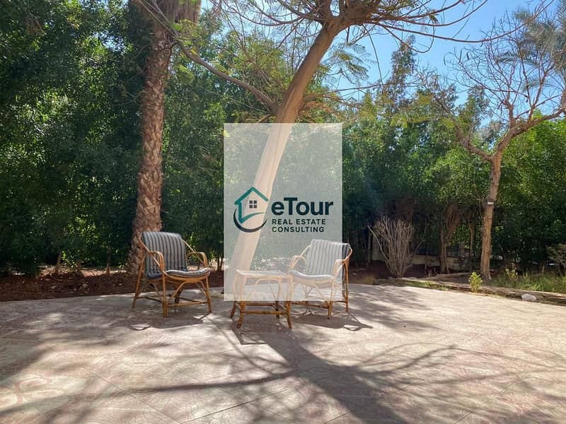 9 45ce447f-1e66-47ec-89cd-fbf3f369940f. jpg