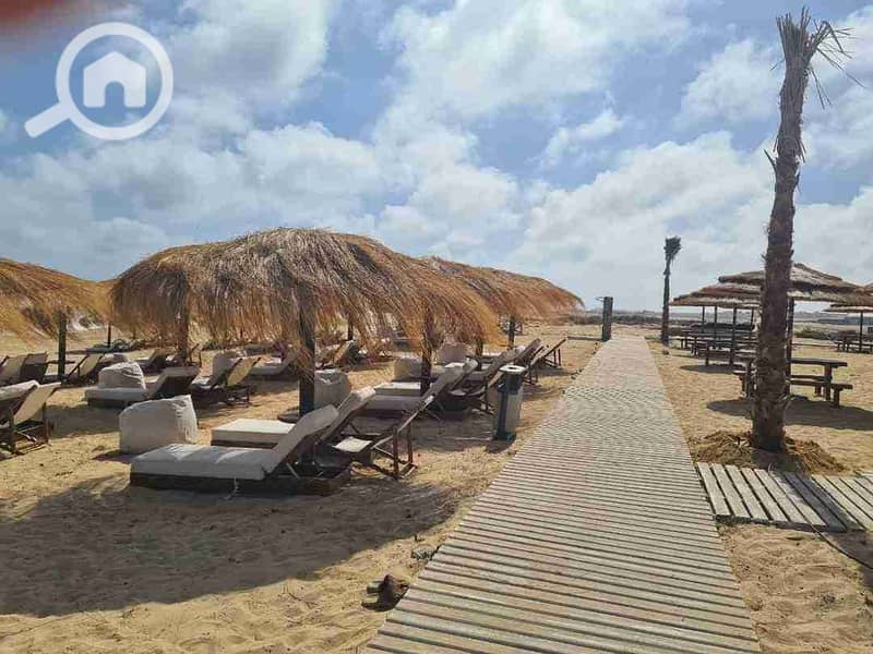 7 FB_IMG_1730418908899. jpg