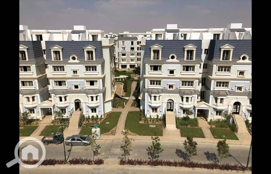 12 WhatsApp Image 2025-04-14 at 12.15. 09_01ea7ee0. jpg