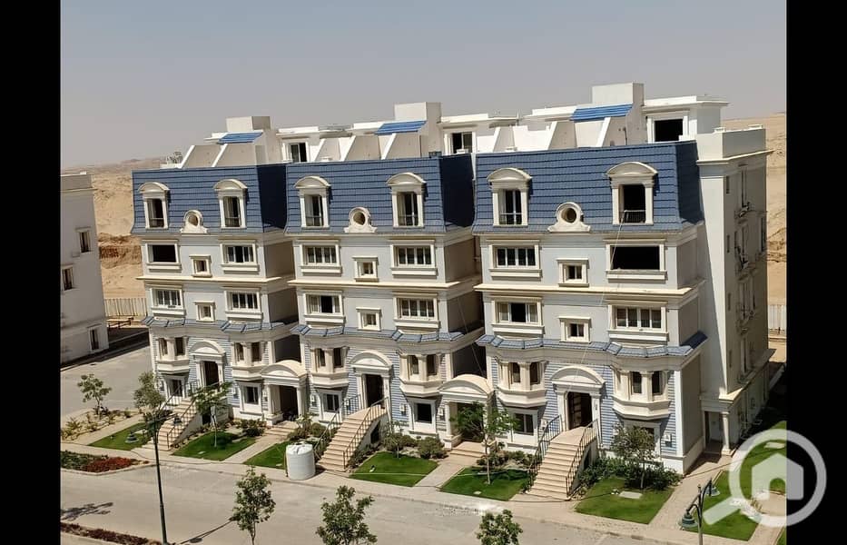 13 WhatsApp Image 2025-04-14 at 12.15. 09_8f24590f. jpg