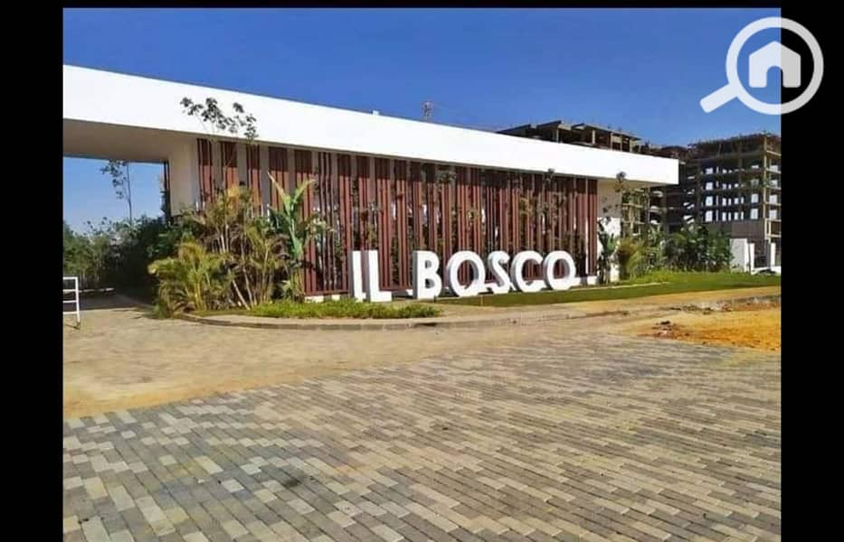 2 353038860_6052798431509945_1381702208368698967_n. jpg