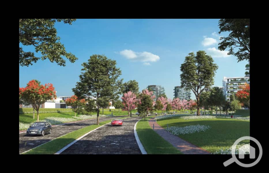 6 IL-BOSCO-Misr-Italia. jpg