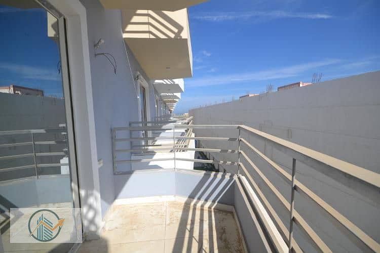 6 DSC_0608_4b33b_lg. jpg