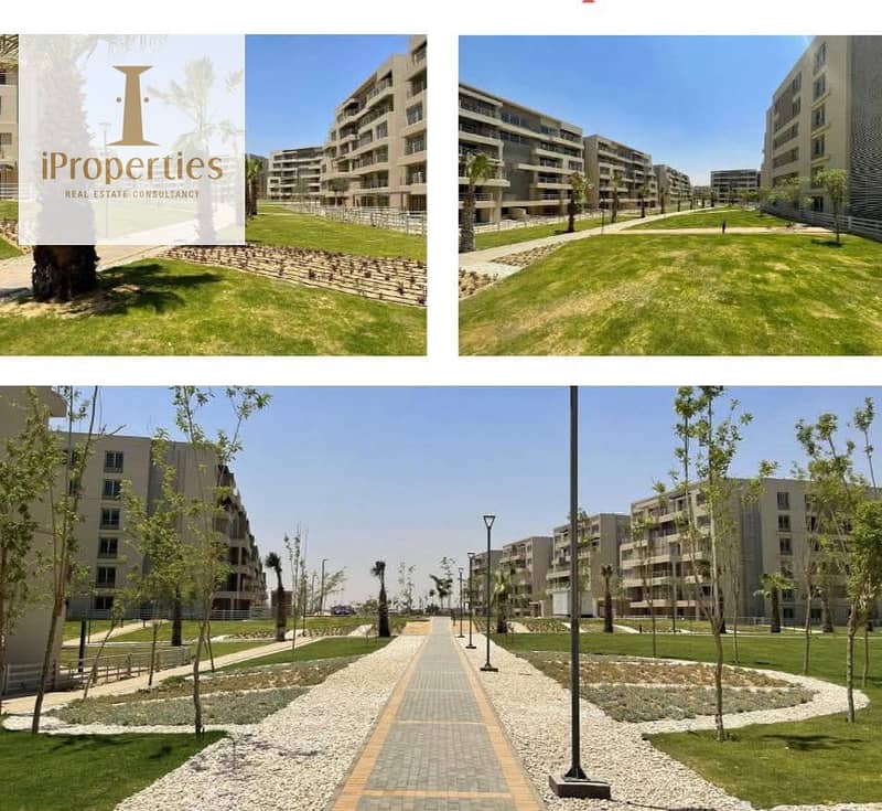 4 WhatsApp Image 2025-07-01 at 1.21. 14 PM. jpeg