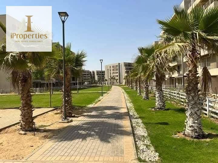 6 WhatsApp Image 2025-07-01 at 1.21. 15 PM (2). jpeg