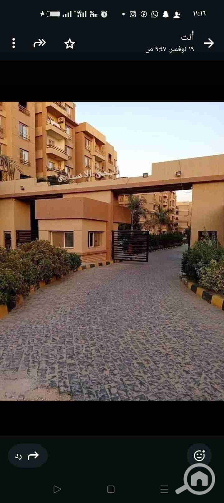 1001139857. jpg 1001139857. jpg