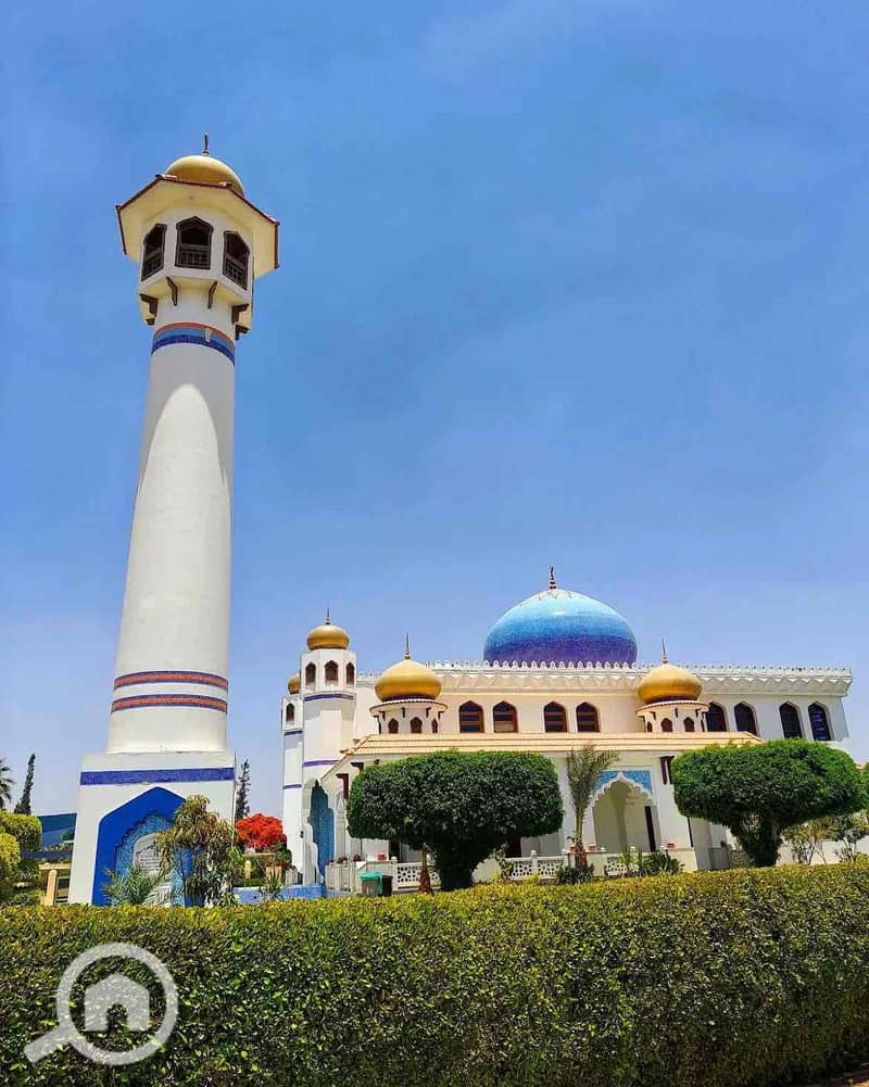 14 a705f9e7-afdb-4414-9805-53cc4c84e58e. jpg