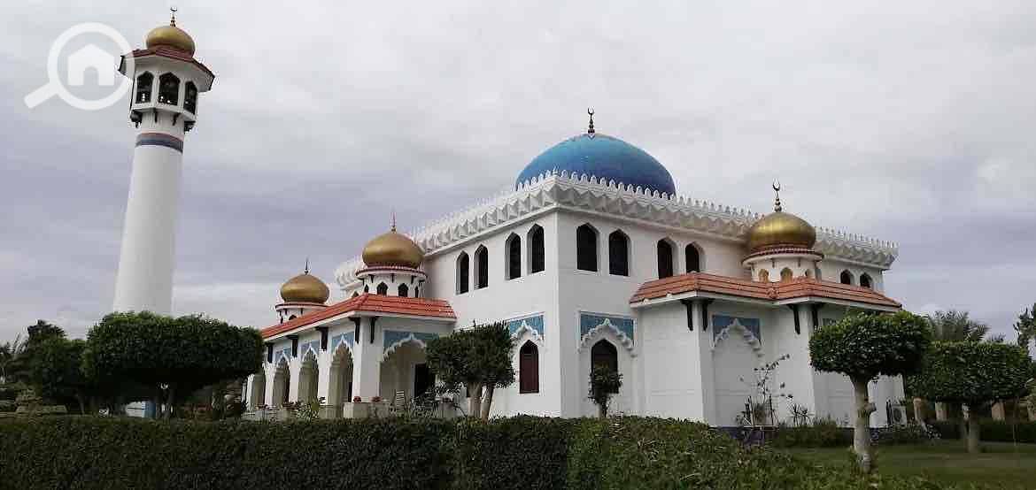 17 829de1cc-e07a-4fb3-8a73-68fee871e06c. jpg