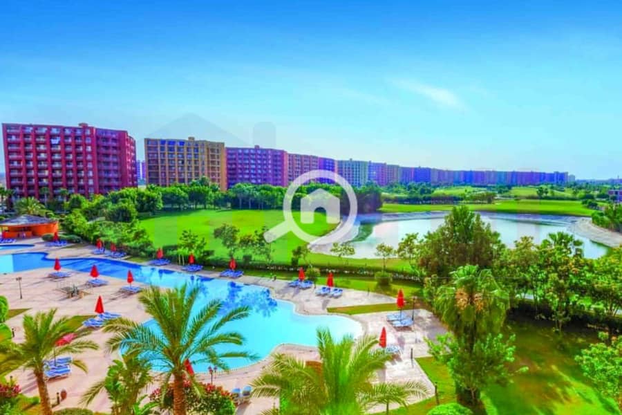 3 IMG-20241208-WA0012. jpg