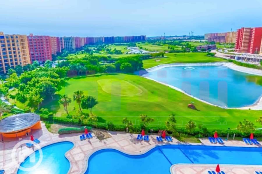 6 IMG-20241208-WA0015. jpg