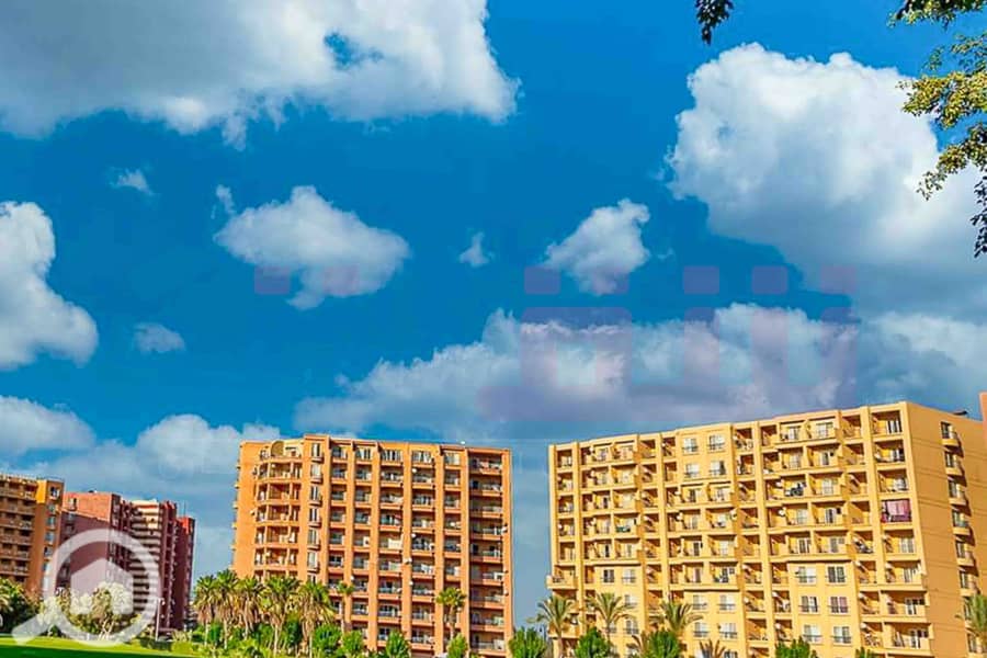 19 WhatsApp Image 2025-05-06 at 12.31. 24 PM. jpg