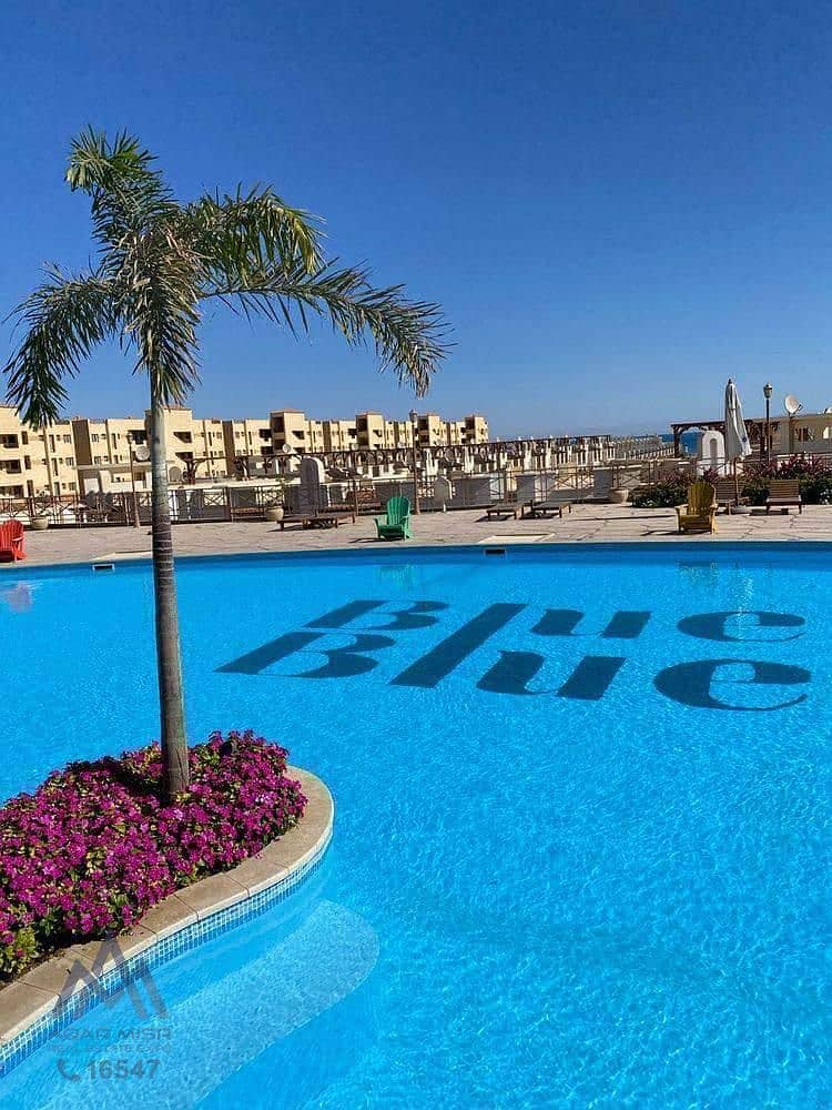 2 WhatsApp Image 2025-03-12 at 12.54. 03_78bf51e9 - Mirna Wageh. jpg