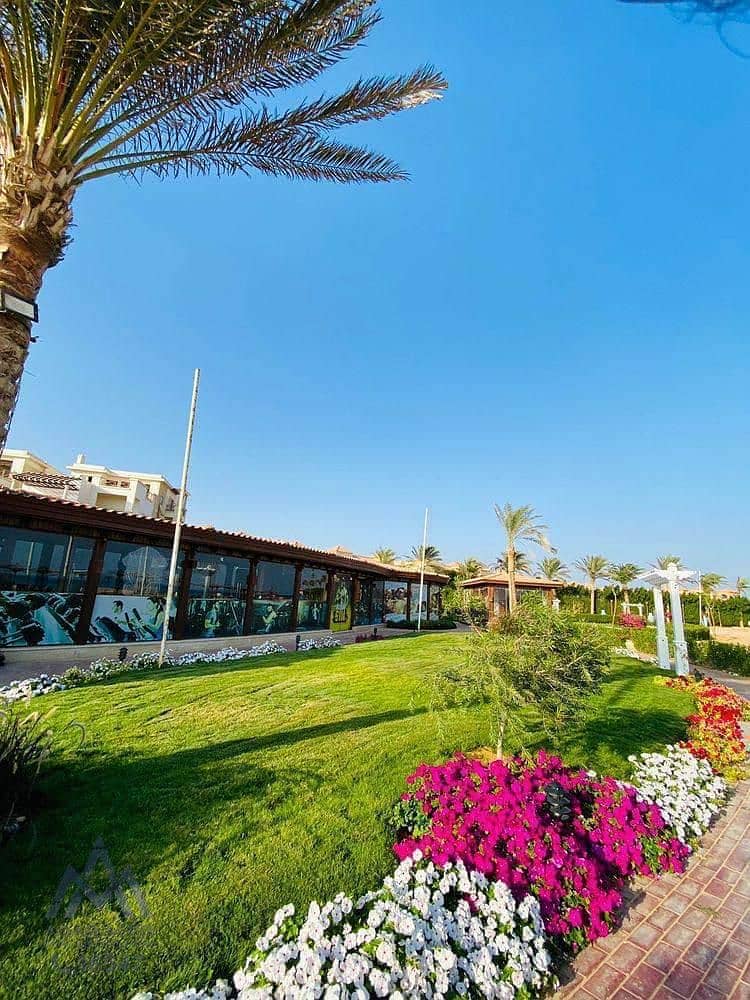 3 WhatsApp Image 2025-03-12 at 12.54. 03_c94b6d36 - Mirna Wageh. jpg