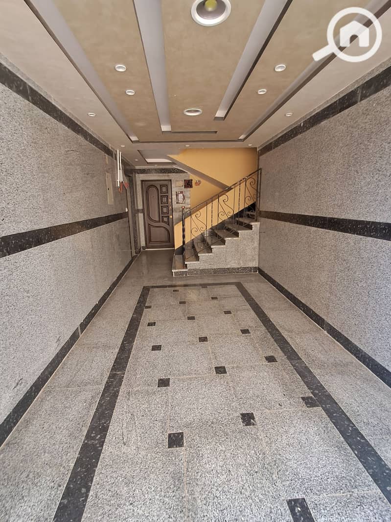 3 ٢٠٢٥١٢٠٦_١٥١٩٣٨. jpg