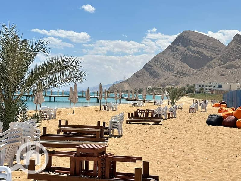 4 434492190_1821442851650947_2761216433632818852_n. jpg