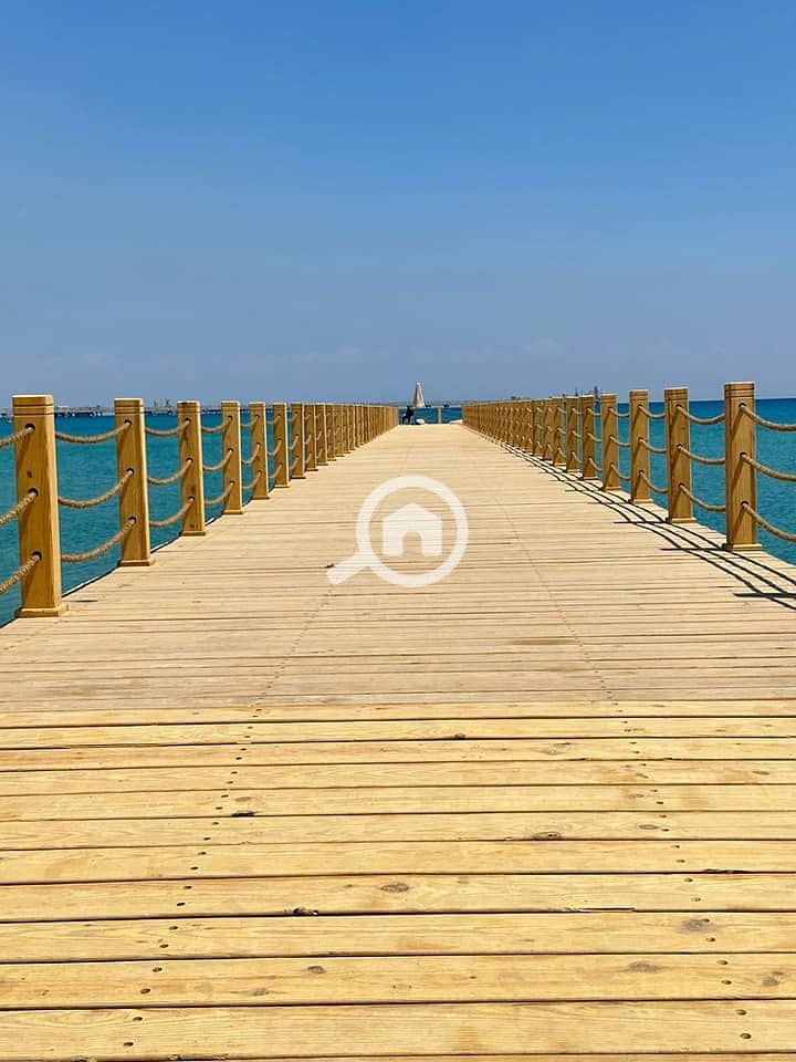 5 434921686_1765175987340174_5112088553161376305_n. jpg