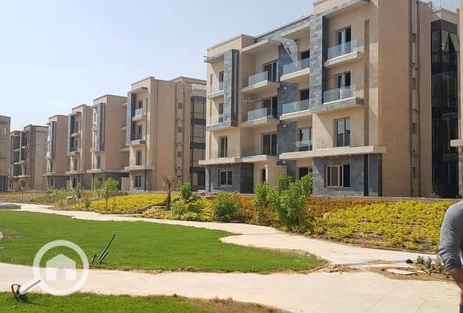 7 pjYpIO_720511-ce159o. jpg