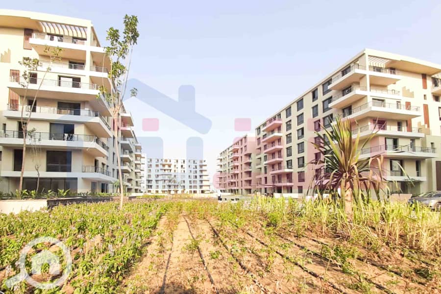 5 WhatsApp Image 2025-08-16 at 5.13. 48 PM. jpg