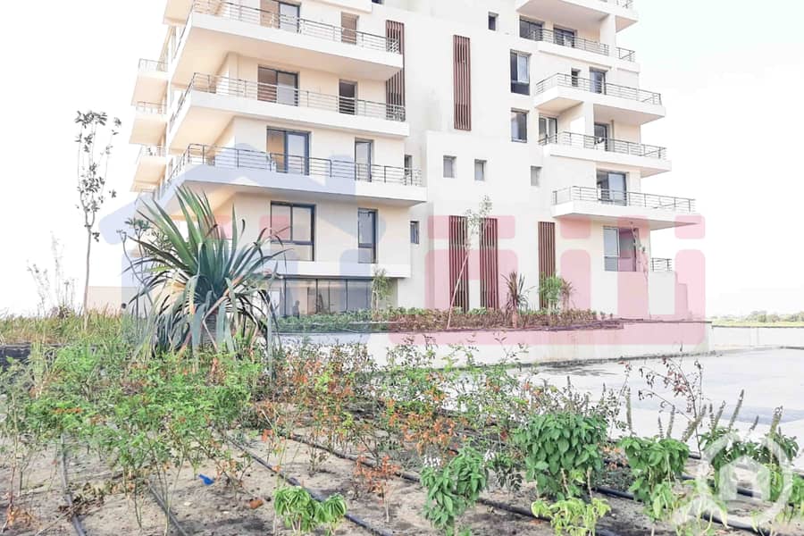 6 WhatsApp Image 2025-08-16 at 5.14. 49 PM. jpg