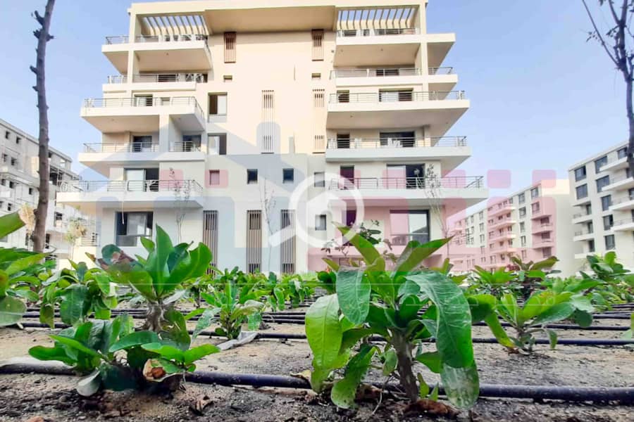 7 WhatsApp Image 2025-08-16 at 5.14. 52 PM. jpg