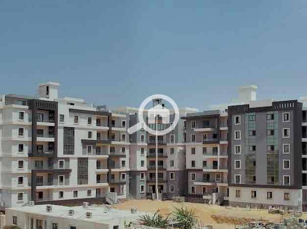 3 1156d5e1-ed81-4542-a4bb-aeba0744503a. jpg