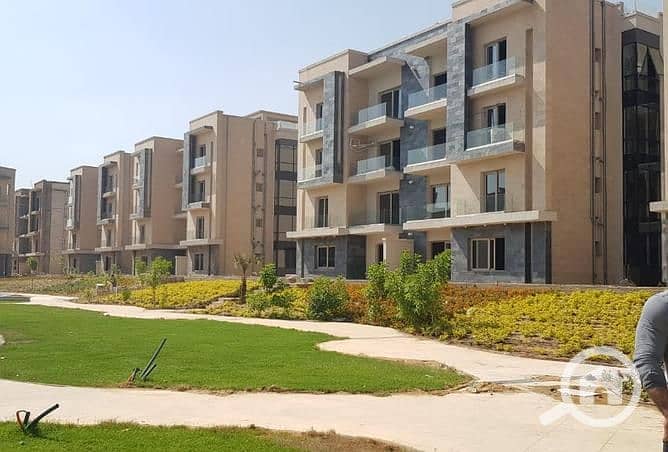 8 pjYpIO_720511-ce159o. jpg