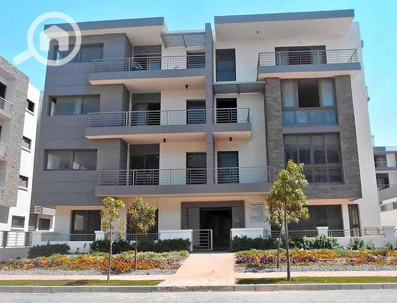 67083329_2375235419390369_5637882146438774784_n. jpg 67083329_2375235419390369_5637882146438774784_n. jpg