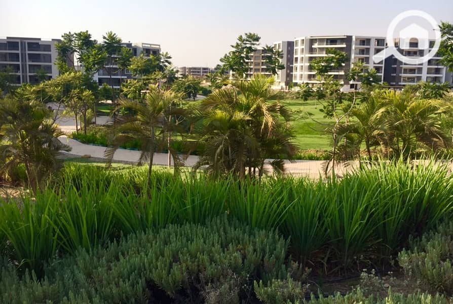 2 0e48dac4-5cc0-4f38-9e05-7087b022b00d. jpg