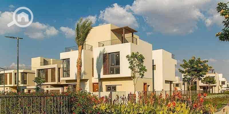 13 3d74ccdf-b0d9-41bb-ae71-b618ac87f98e. jpg